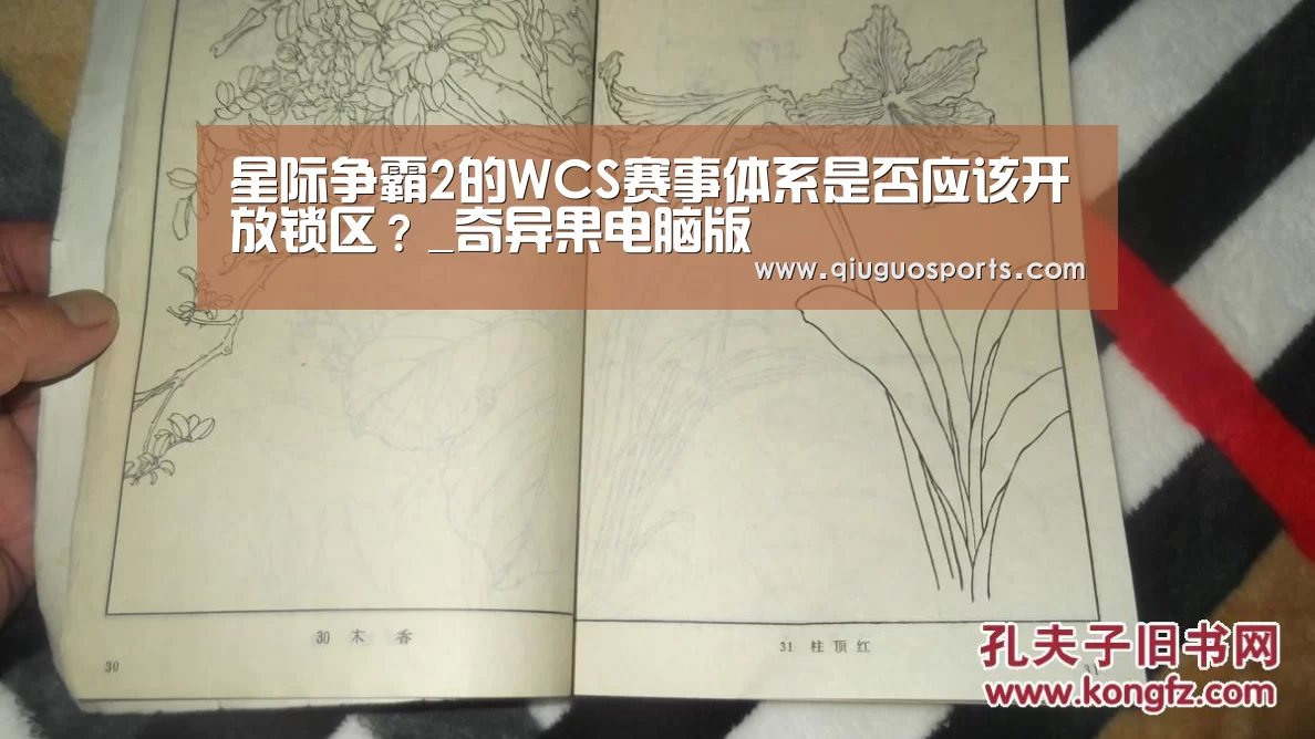 星际争霸2的WCS赛事体系是否应该开放锁区?_奇异果电脑版(图2) 奇异果电脑版