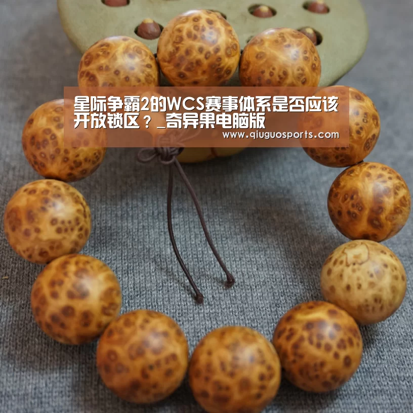 星际争霸2的WCS赛事体系是否应该开放锁区?_奇异果电脑版(图3) 奇异果电脑版