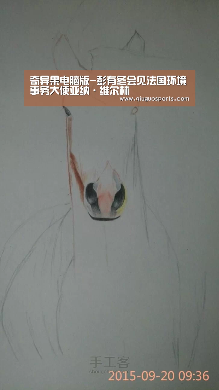 奇异果官网下载